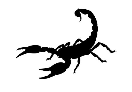Scorpion silhouette. This image shows a black silhouette of a scorpion with pincers and a curved tail, symbolizing a dangerous and venomous arachnid. Vector clipart illustration design.のイラスト素材