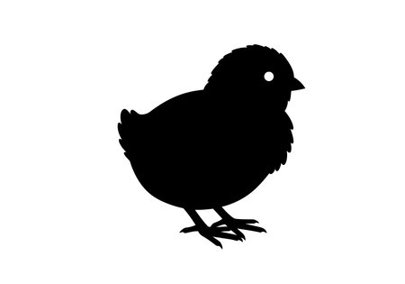 Easter chick silhouette. This image shows a black silhouette of a baby chick, also known as a hatchling or newborn bird, standing with its legs and feet visible. Vector clipart illustration design.のイラスト素材