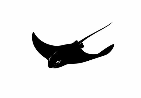 Eagle ray silhouette. This image shows a black silhouette of an eagle ray, also known as a manta ray or stingray, with a long tail and wide fins. Vector clipart illustration design.のイラスト素材