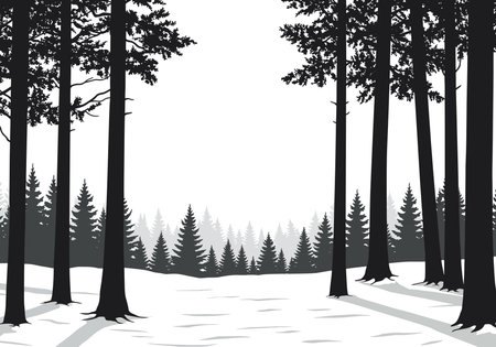 Winter forest silhouette. This image depicts a serene winter forest scene with tall, snow-covered trees and a tranquil natural landscape. Vector clipart illustration design.のイラスト素材