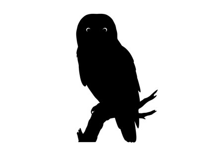 Owl on branch silhouette. This image shows a black silhouette of an owl perched on a tree branch, highlighting its distinct shape and nocturnal presence. Vector clipart illustration design.のイラスト素材