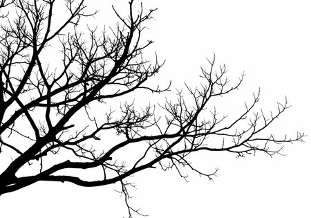 Tree branches silhouette. This image shows a black silhouette of tree branches extending in various directions, also known as twig silhouette or limb outline. Vector clipart illustration design.のイラスト素材