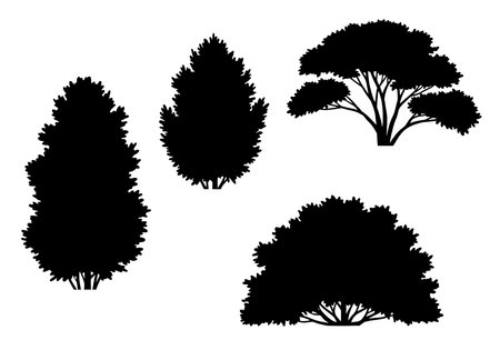 Shrub silhouette. This image shows a black silhouette of a shrub with dense foliage and branches, also known as a bush or ornamental plant. Vector clipart illustration design.のイラスト素材