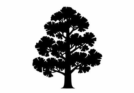 Ginkgo tree silhouette. This image shows a black silhouette of a ginkgo tree, also known as ginkgo biloba or maidenhair tree, with distinct fan-shaped leaves. Vector clipart illustration design.のイラスト素材