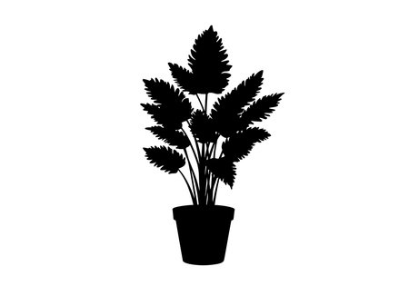 Potted plant silhouette. This image shows a black silhouette of a potted plant with detailed leaves and stems, also known as houseplant or decorative foliage. Vector clipart illustration design.のイラスト素材