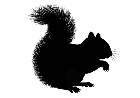 Squirrel silhouette. This image shows a black silhouette of a squirrel with a bushy tail and detailed fur, whiskers, and claws. Vector clipart illustration design.のイラスト素材