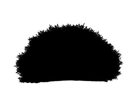 Bush silhouette. This image showcases a black silhouette of a bush, a natural plant with dense foliage often found in gardens and landscapes. Vector clipart illustration design.のイラスト素材