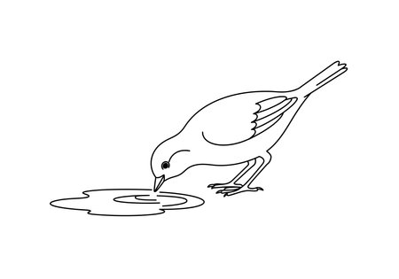 Bird drinking water drawing. This black and white outline shows a small bird bending down to drink from a puddle, a simple and common natural scene. Vector sketch line art draw.のイラスト素材