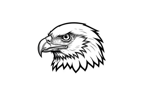 Eagle head drawing. This black and white outline focuses on the detailed head of an eagle, highlighting its sharp beak and intense gaze. Vector sketch line art draw.のイラスト素材