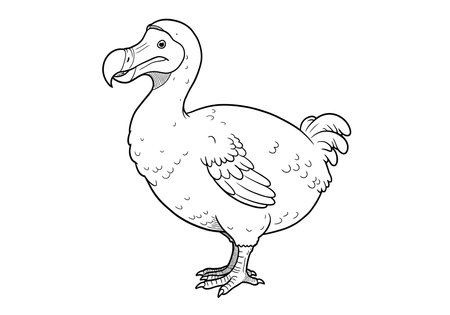 Dodo bird drawing. This black and white outline illustrates a dodo bird, a well-known extinct flightless bird from Mauritius. Vector sketch line art draw.のイラスト素材