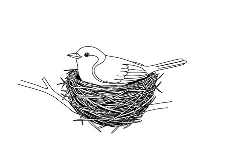Bird in a nest drawing. This black and white outline depicts a bird nestled in its nest, symbolizing new life, protection, and the comfort of home. Vector sketch line art draw.のイラスト素材