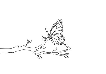 Butterfly on tree drawing. Image shows a butterfly on a tree branch, a natural sketch of the delicate winged insect perched on rough bark, highlighting nature's beauty. Vector sketch line art draw.のイラスト素材
