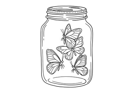 Butterflies in a jar drawing. This image shows butterflies in a jar, a whimsical sketch capturing delicate winged insects confined within a transparent container. Vector sketch line art draw.のイラスト素材