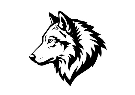 Wolf head drawing. This image features a wolf's head, a strong and emblematic portrayal of the wild canine's cranium, captured with intricate detail. Vector sketch line art draw.のイラスト素材