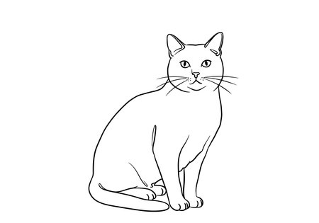 Cat drawing. It is a black and white outline image of a domestic feline, a common pet known for its calm demeanor and observant gaze. Vector sketch line art draw.のイラスト素材