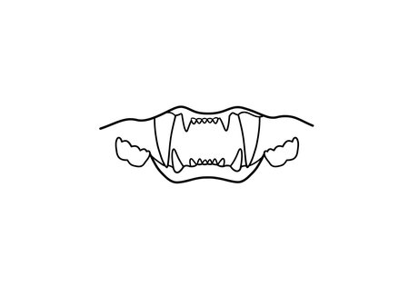 Cat teeth drawing. It is a black and white outline image of a feline's open mouth with prominent teeth and fangs, highlighting its predatory nature. Vector sketch line art draw.のイラスト素材