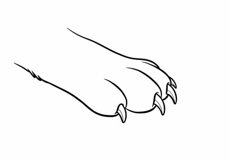 Cat claw drawing. It is a black and white outline image of a feline paw, showing the sharp, retractable claws characteristic of domestic cats and other felines. Vector sketch line art draw.のイラスト素材
