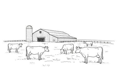 Cow farm drawing. It is a simple, black and white outline sketch of cows grazing in a field with a barn and silo. Vector sketch line art draw.のイラスト素材
