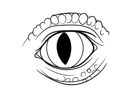 Dinosaur eye drawing. It is a black and white outline image of a detailed dinosaur eye with reptilian scales around it. Vector sketch line art draw.のイラスト素材