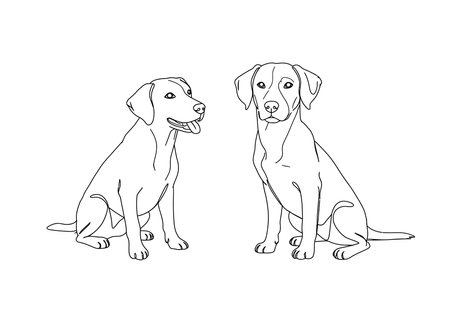 2 dogs drawing. It is a black and white outline image of two dogs, canines, puppies, hounds. Vector sketch line art draw.のイラスト素材