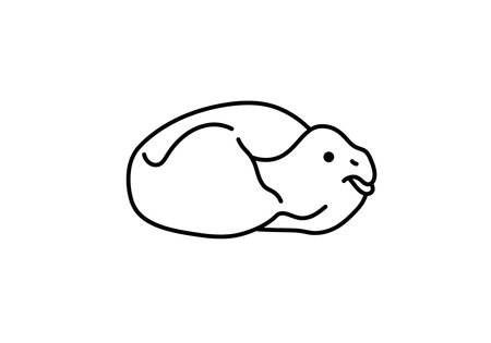 Balut drawing. It is a simple black and white outline image of a curled-up animal, possibly a turtle or an embryo, ready for coloring. Vector sketch line art draw.のイラスト素材