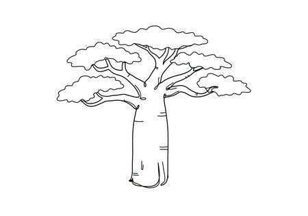 Baobab drawing. It is a vector sketch line art drawing of a baobab tree, showcasing its thick trunk and unique branching, iconic to African landscapes and longevity. Vector sketch line art draw.のイラスト素材
