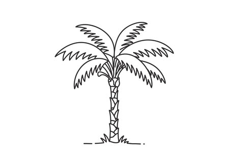 Date tree drawing. It is a vector sketch line art drawing of a date palm tree, with hanging fruit and fronds, typical of desert oases. Vector sketch line art draw.のイラスト素材
