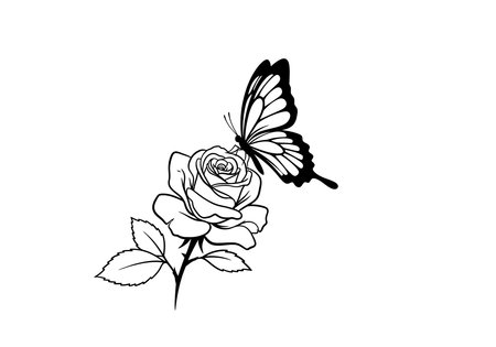 Butterfly on rose drawing. It is a black and white outline image of a butterfly perched on a rose, symbolizing beauty and transformation. Vector sketch line art draw.のイラスト素材