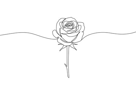 One line rose drawing. It is a black and white outline image of a rose created with a single, continuous line. Vector sketch line art draw.のイラスト素材