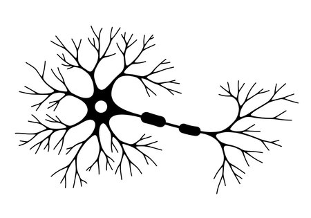 Cajal drawings. It is a black and white outline of a neuron, nerve cell, or brain cell, representing Cajal's detailed neurological research. Vector sketch line art draw.のイラスト素材