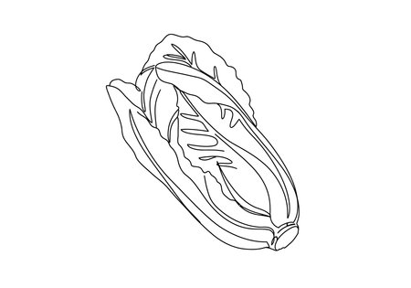 Romaine lettuce drawing. It is a black and white outline of romaine lettuce or a leafy green vegetable, showing its elongated leaves. Vector sketch line art draw.のイラスト素材