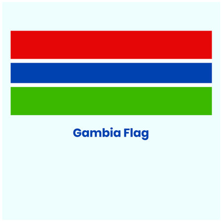 Gambia flag vector illustration. National flag of Gambia.のイラスト素材