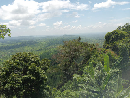 View from the top of the mountain to the valley and forest.の写真素材