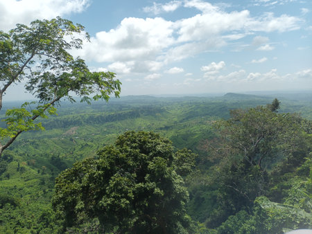 Scenic view of the mountains and forests of Sri Lanka, Asiaの写真素材