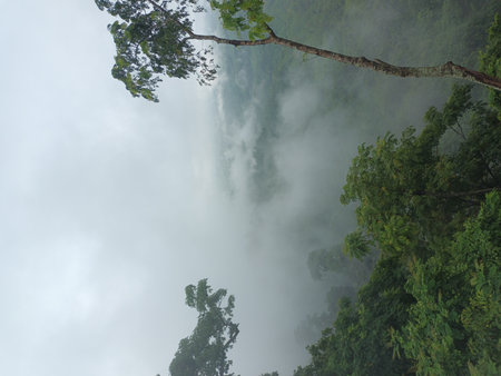 Tropical rainforest with fog and waterfall at Doi Inthanon National Park, Chiang Mai, Thailandの写真素材