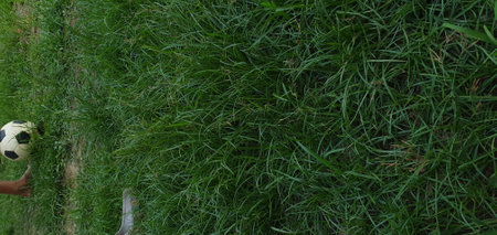 Football player in action on the green grass in the football field.の写真素材