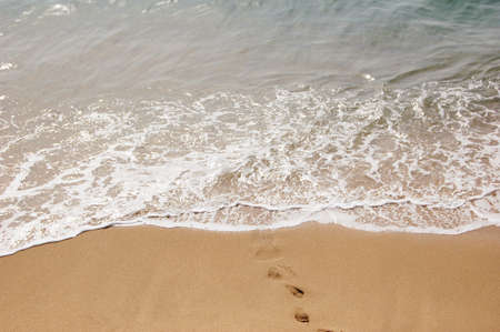 Footsteps getting out of the water in a beachの写真素材