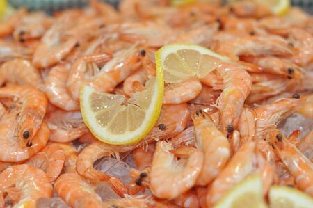 Cooked shrimps dish ready to eatの写真素材