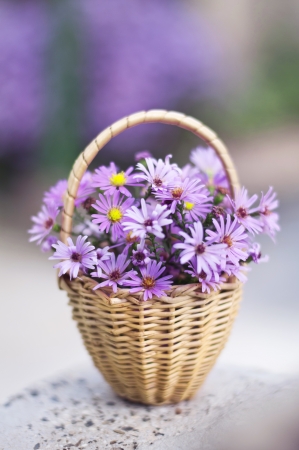 Bright purple flowers in a basketの写真素材
