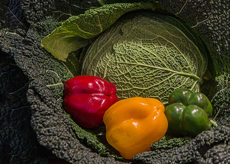 Ripe vegetables on display, cabbage, lettuce leaves and red, yellow and green peppers.の写真素材