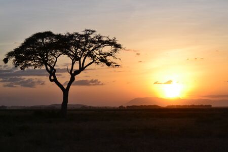 sunset in kenyaの写真素材