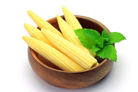 young cornの写真素材