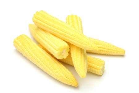 young cornの写真素材
