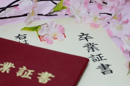 This is a certificate of the Japanese school.の写真素材