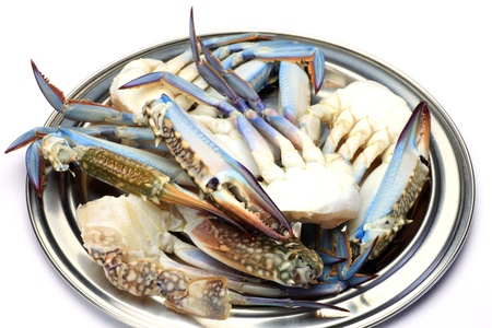 I put the blue crab which I cut in a tray and I took it in a white background.の写真素材
