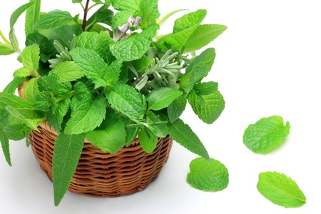 I put various herb in a basket and took it in a white background.