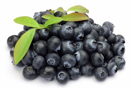 I attached a leaf to many blueberries and took it in a white background の写真素材