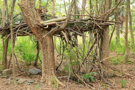 There is this hideout in grove of miscellaneous trees 