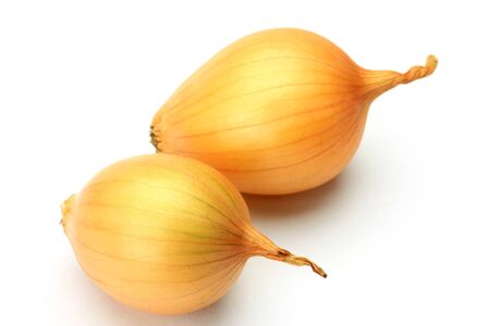 two petit onions in a white background の写真素材
