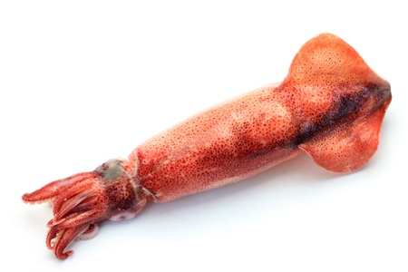 This is the cuttlefish which I boiled.の写真素材